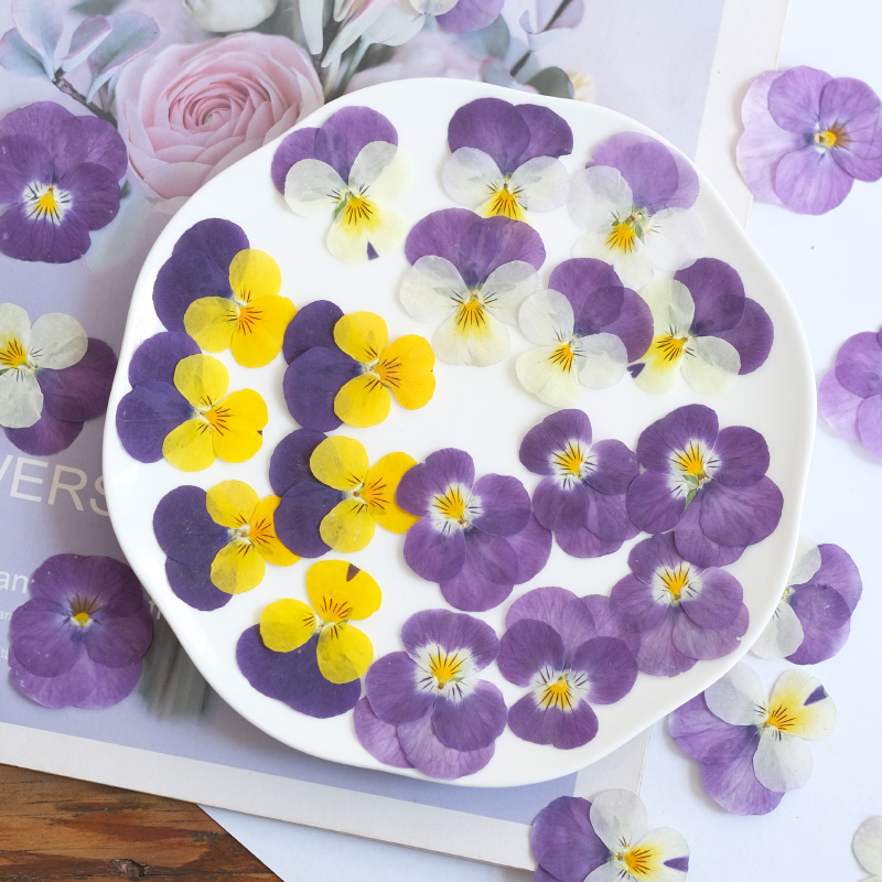 12pcs,nature Pansy Dried Flowe - Photo Beauty Makeup recension och pris