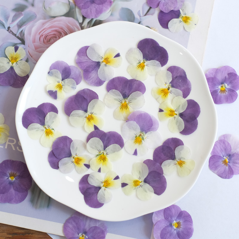 12pcs,nature Pansy Dried Flowe - Photo Beauty Makeup recension och pris