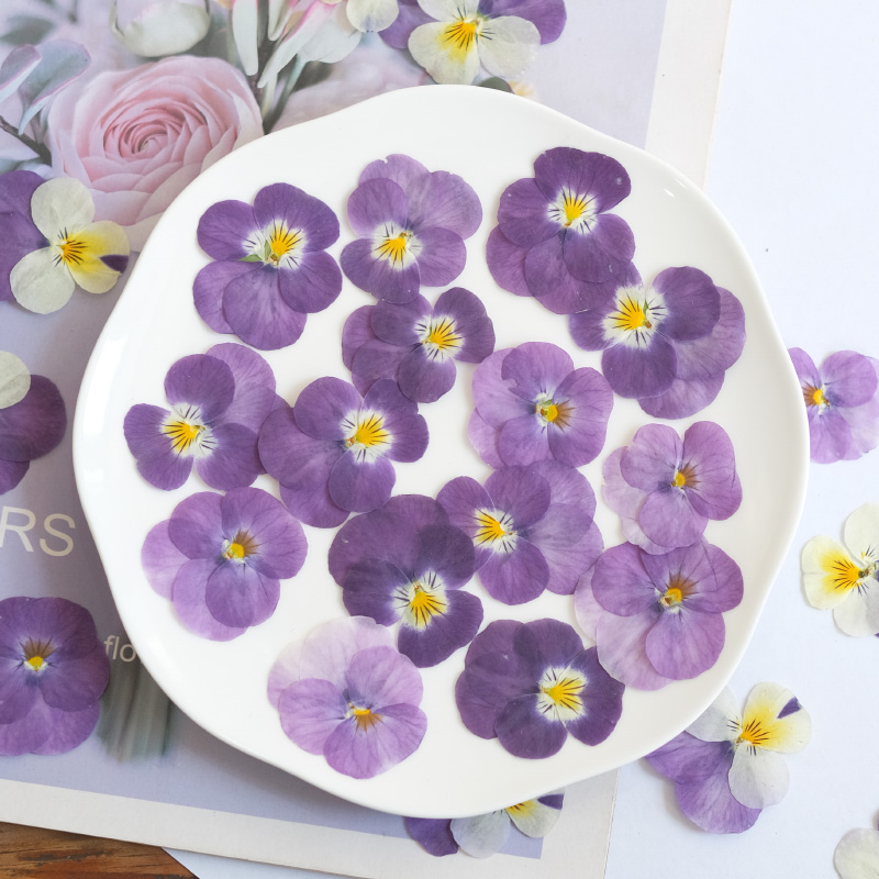 12pcs,nature Pansy Dried Flowe - Photo Beauty Makeup recension och pris